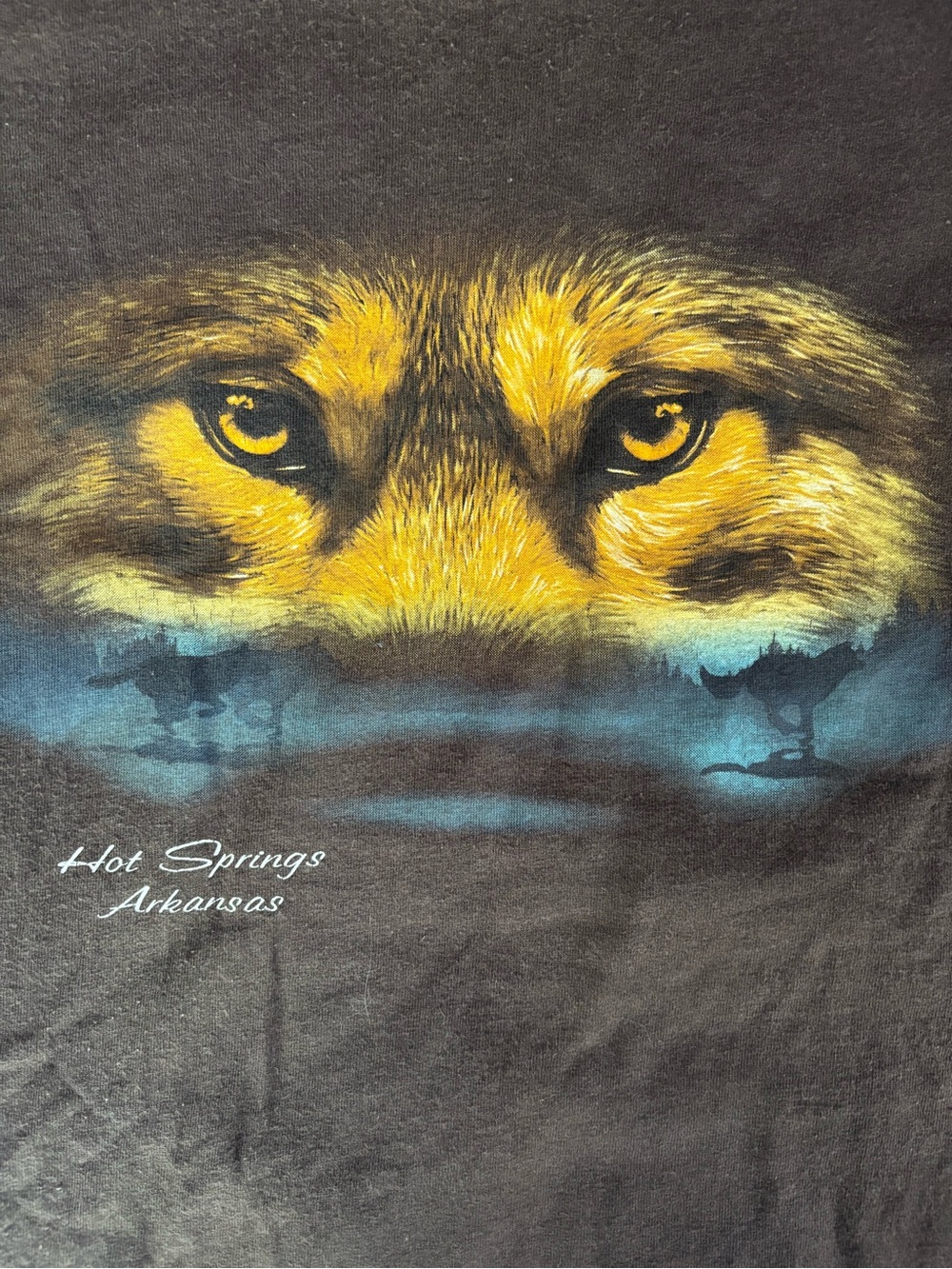 Black Wolf Graphic T-Shirt - Hot Springs Arkansas
